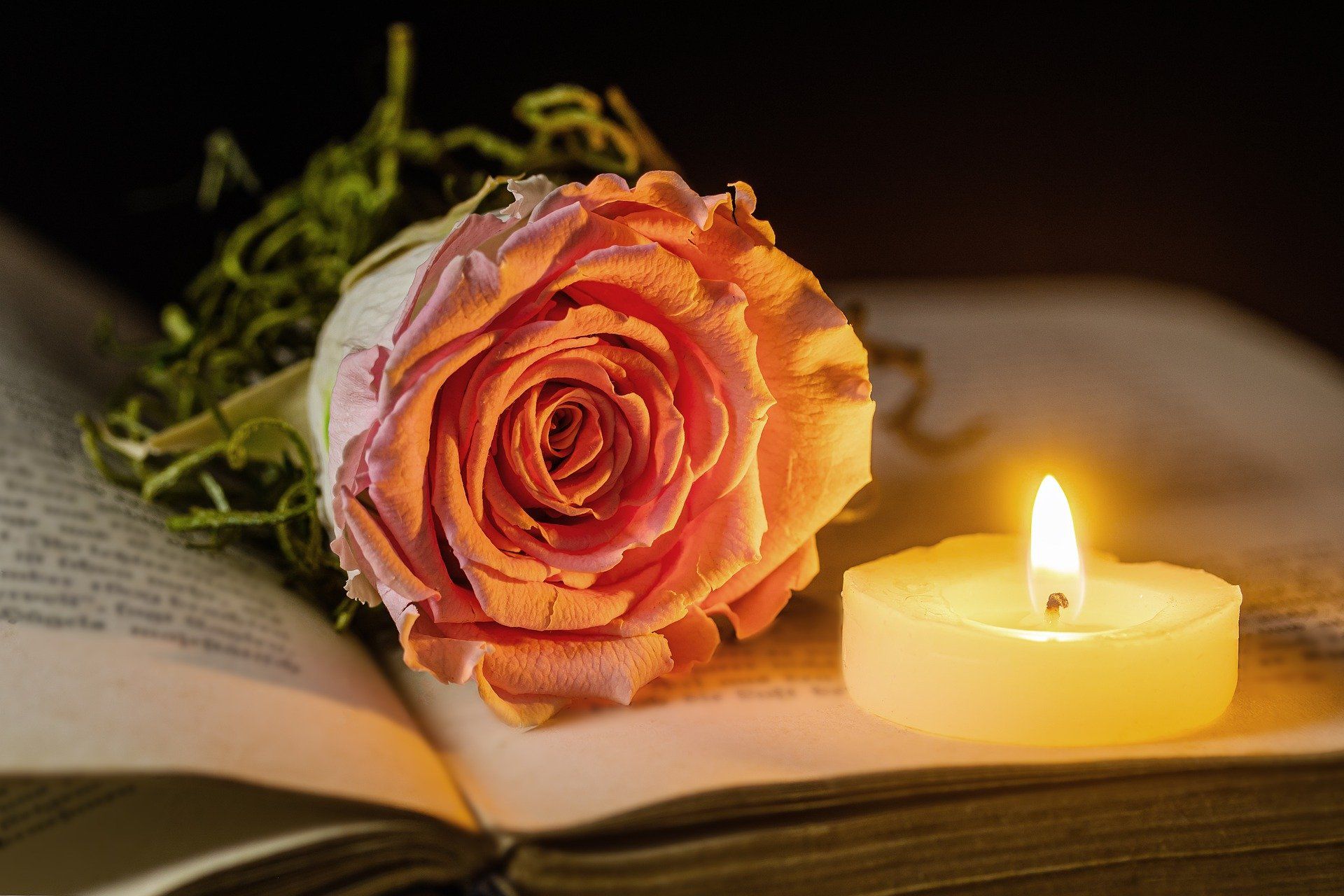 Odoo • Texte et Image